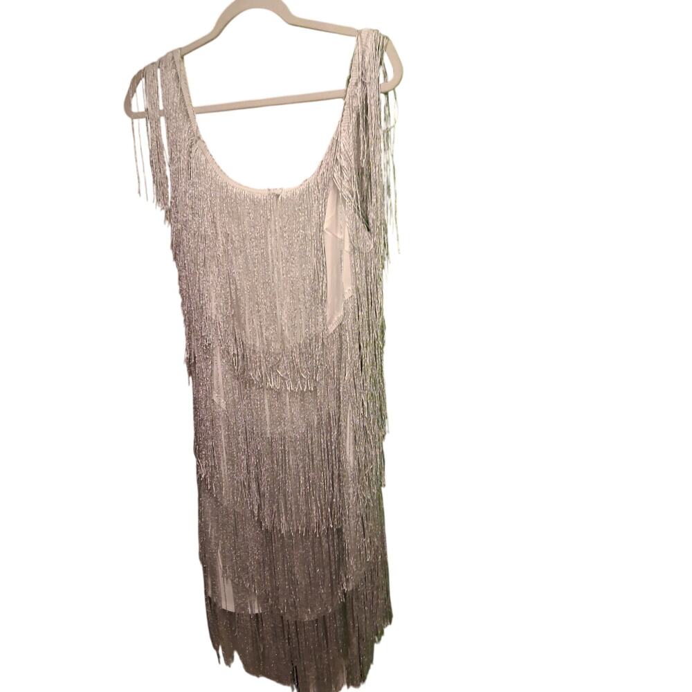 Silver fringe dress